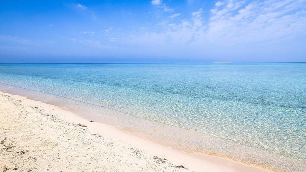 Di masa mendatang, Umluj juga akan menjadi destinasi yang turut terdampak dari proyek pariwisata Red Sea atau laut merah yang diinisiasi oleh Putra Mahkota Arab Saudi, Muhammad Bin Salman (MBS) (Twitter) Di masa mendatang, Umluj juga akan menjadi destinasi yang turut terdampak dari proyek pariwisata Red Sea atau laut merah yang diinisiasi oleh Putra Mahkota Arab Saudi, Muhammad Bin Salman (MBS) (Twitter)