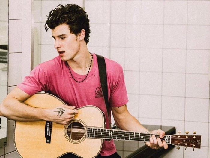 Shawn Mendes