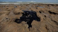 Petrobas juga telah mengumpulkan 146 ton minyak di sepanjang garis pantai timur Brasil. Stringer via Reuters.