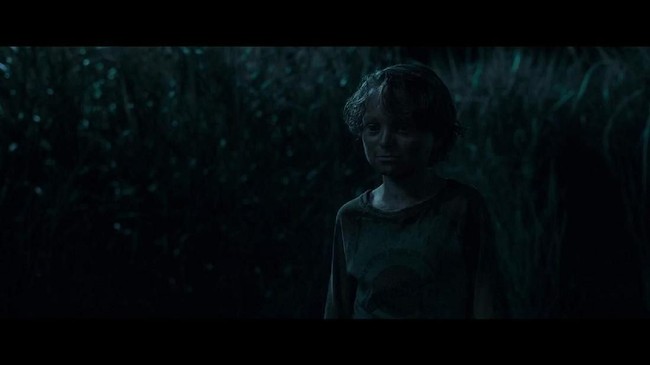 In The Tall Grass: Horor di Balik Rerumputan Tinggi