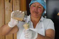 Berani Cicip? Ini Es Krim Rasa Daging Tikus Belanda yang Hits