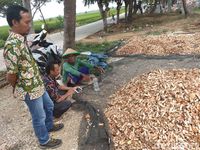 Menyulap Sampah Kulit Rajungan Jadi Bernilai Jual Tinggi di Karawang