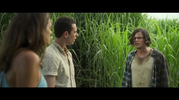 'In The Tall Grass': Horor di Balik Rerumputan Tinggi