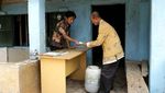 Bisa Ditiru, Warga Kumpulkan Urine Kambing Jadi Pupuk Organik