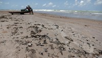 Tumpahan minyak itu pun nampak telah mengering dalam beberapa pekan terakhir di sejumlah pantai di negara bagian dari Maranhao hingga Bahia. Stringer via Reuters.
