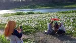 Foto: Yang Baru dan Instagramable di Bantul
