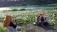 Traveler bisa langsung mengeluarkan kamera dan foto-foto di taman ini. Kalinampu Natural Park sendiri buka dari jam 7 pagi hingga menjelang Maghrib. (Pradito/detikcom)