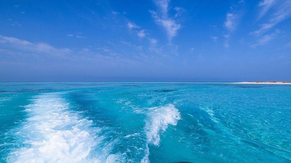 Fakta menarik lainnya, pihak Pemerintah setempat juga tidak mengizinkan kapal besar seperti cruise atau feri untuk singgah di area tersebut. Hanya kapal kecil dan wisatawan yang dizinkan untuk memancing atau berwisata di area tersebut (Twitter) Fakta menarik lainnya, pihak Pemerintah setempat juga tidak mengizinkan kapal besar seperti cruise atau feri untuk singgah di area tersebut. Hanya kapal kecil dan wisatawan yang dizinkan untuk memancing atau berwisata di area tersebut (Twitter)