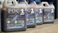 Pupuk organik cair (POC) yang dihasilkan dari urine kambing. Pupuk ini cocok untuk semua tanaman dan memberikan rasa yang lebih enak dari buah atau sayur yang dihasilkan. Pool/Kemendes.