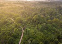 Ranger Diranjau Saat Robohkan Pondok Perambah Hutan Di TN Tesso Nilo