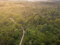Profil James Ransone: Si Ziggy yang Mencuri Perhatian di The Wire hingga Bintang Horor Modern