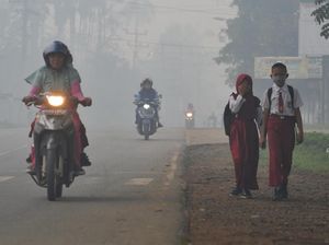 Potret Kabut Asap Karhutla Masih Selimuti Jambi