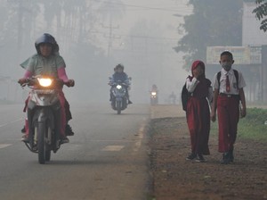 BNPB: Karhutla 2019 Bakar Lahan 857 Ribu Ha, Terparah dalam 3 Tahun