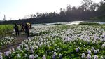 Foto: Yang Baru dan Instagramable di Bantul