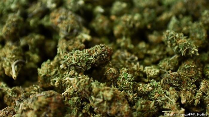 ganja