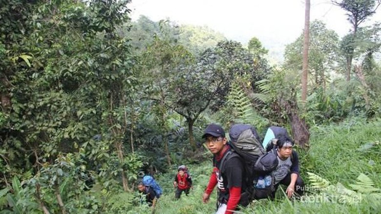 Pendakian di Gunung Aseupan (Stanislaus Riyanta/dTraveler) Pendakian di Gunung Aseupan (Stanislaus Riyanta/dTraveler)