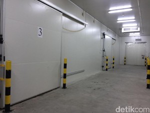 Cold Storage di Mimika Rampung, 200 Ton Ikan Siap Ditampung