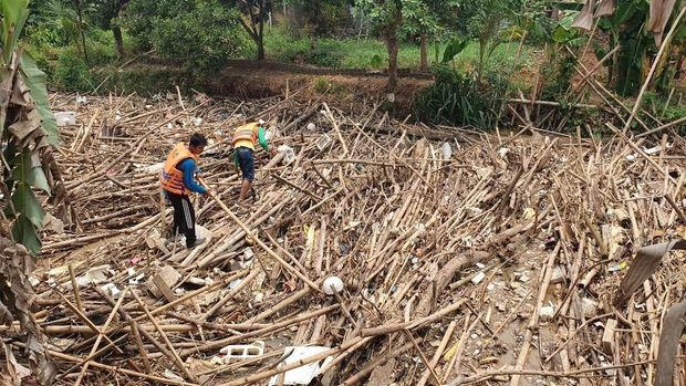 Sampah bambu di Sungai Cikeas.
