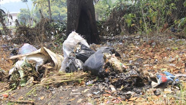 Taman Junghuhn, Cagar Alam Jabar yang Terlupakan