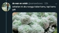 Kelepon juga bisa diplesetkan. Sehari ini aku nunggu kabar kamu, tapi kamu gak kelepon, Foto: Istimewa