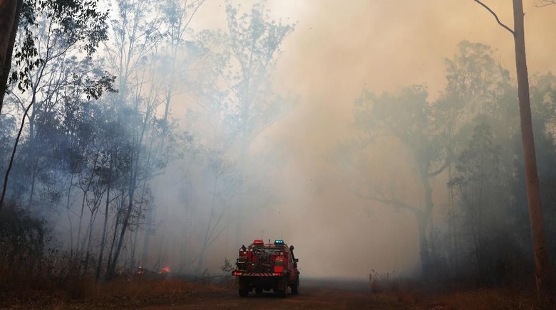 Tragis! Pasangan Kakek-Nenek Tewas Akibat Kebakaran Hutan di Australia Tragis! Pasangan Kakek-Nenek Tewas Akibat Kebakaran Hutan di Australia