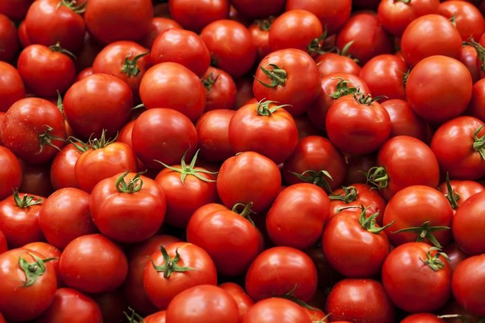 Foto: iStock/Cara Menanam Tomat di Pot, Simpel dan Praktis! Foto: iStock/Cara Menanam Tomat di Pot, Simpel dan Praktis!