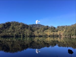 pantulan hutan cemara di tepi danau ranu kumbolo
