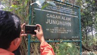 Pada abad ke-19 Jawa pernah menjadi penghasil kina terbesar di dunia. Ketika itu hampir 90 persen kebutuhan kima berasal dari Indonesia. Pohon kina dijadikan obat malaria dan bahan dasar obat. (Yudha Maulana/detikcom)