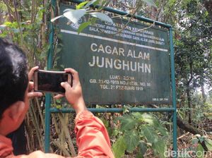 Taman Junghuhn, Cagar Alam Jabar yang Terlupakan