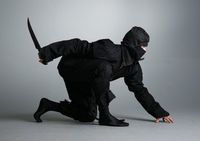 Ilustrasi ninja (Sora News)