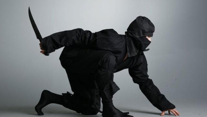 Ilustrasi Ninja