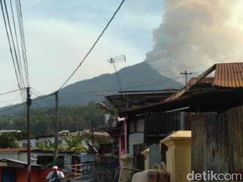 Gunung Arjuno Terbakar Lagi, Kali Ini di Ketinggian 2.300 Mdpl Gunung Arjuno Terbakar Lagi, Kali Ini di Ketinggian 2.300 Mdpl