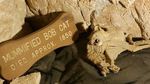 Di Arizona Bisa Makan di Dalam Gua Batu Berusia Ratusan Tahun