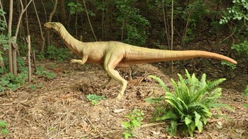 Coelophysis bauri: Meskipun Coelophysis bauri adalah dinosaurus cukup kecil dengan berat hanya sekitar 19 kilogram, bukti fosil menunjukkan bahwa mereka berburu secara berkelompok. Mereka juga lincah dan punya gigi yang sangat tajam.Foto: Dinosaur World