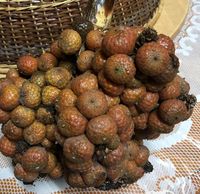 Ciplukan hingga Kelubi, Ini 5 Buah Unik Asli Indonesia