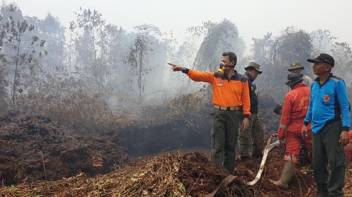 504 Titik Panas Muncul di Sumatera, Sumsel Terbanyak
