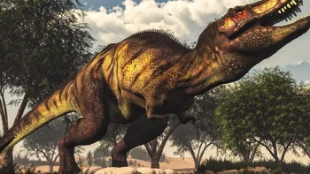 Tyrannosaurus rex: Disebut ‘raja kadal tiran’, Tyrannosaurus rex selalu menjadi salah satu dinosaurus terbesar dan paling mematikan dengan gigitan 3 kali lebih kuat dari paus putih. Itu membuatnya memiliki gigitan terkuat di antara hewan yang pernah hidup di daratan. Foto: Dinosaur World