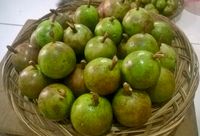Ciplukan hingga Kelubi, Ini 5 Buah Unik Asli Indonesia