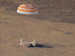 Momen Kembalinya Astronot Arab Usai Lihat Bumi Bulat