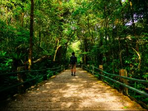 Rindu yang Tertinggal di Hutan