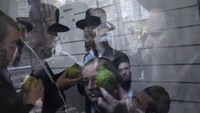 Di dalam perayaan ini, Umat Yahudi pun akan menyediakan buah Etrog saat akan merayakan Hari Raya Sukkot. Buah Etrog sendiri dalam kitab Torah tertulis sebagai buah suci. AP Photo/Oded Balilty.