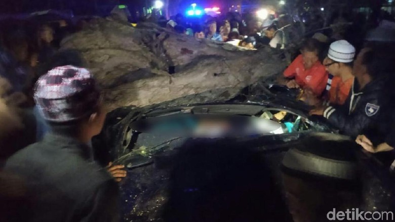 Ini Identitas 4 Penumpang Mobil yang Tewas Tertimpa Pohon Tumbang Ini Identitas 4 Penumpang Mobil yang Tewas Tertimpa Pohon Tumbang