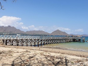 Haruskah Komodo Dijadikan Jurassic Park, Pak Luhut?
