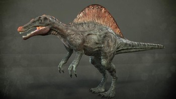 Spinosaurus aegyptiacus: Penelitian mengindikasikan bahwa Spinosaurus aegyptiacus merupakan spesies dinosaurus karnivora terbesar yang pernah eksis, dengan panjang 15 meter. Tak hanya di darat, ia juga berbahaya di air karena dapat berenang. Foto: Dinosaur World