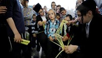 Persiapan menjelang perayaan Hari Raya Sukkot ini tak hanya dinanti oleh para orang dewasa, anak-anak pun tak kalah antusias mempersiapkan berbagai hal menjelang perayaan tersebut. Amir Cohen/Reuters.