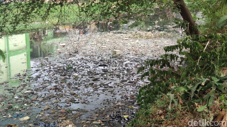 Jijik, Sungai Cipamokolan Bau dan Tertutup Sampah Jijik, Sungai Cipamokolan Bau dan Tertutup Sampah