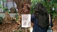 Walau sama-sama terletak di Tana Toraja, Desa Kambira di Sulawesi Selatan punya tradisi pemakaman khusus bernama Passiliran bagi bayi yang meninggal sebelum giginya tumbuh (Randy/detikcom)