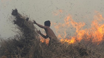 Warga Berjibaku Padamkan Karhutla di Kalimantan Selatan