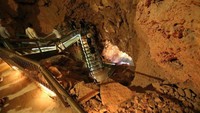 Ini tangga panjang menuju ke dalam restoran Grand Canyon Caverns Grotto. Pastikan pakai sepatu dan baju yang nyaman ya. Foto: Istimewa
