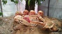 Walau jenazahnya hanya diletakkan tanpa dikubur, nyatanya jenazah di sana tak berbau. Kehadiran pohon taru menyan di area pemakaman dipercaya masyarakat menetralkan bau tak sedap dari proses pembusukan (Randy/detikcom)  